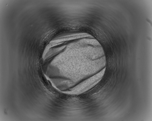 X0000091000594200708241451