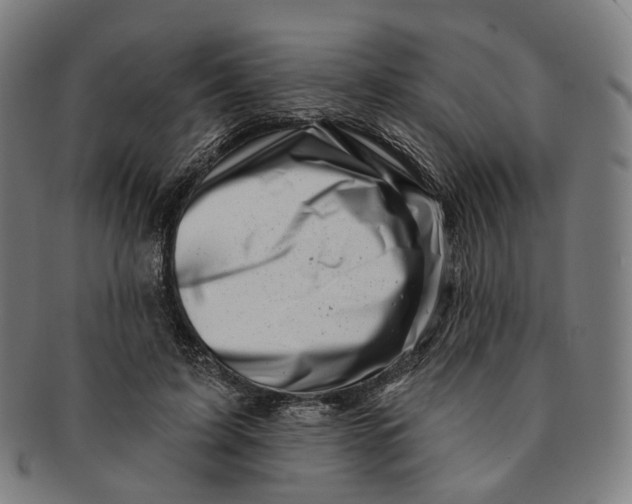 X0000091000595200708241451