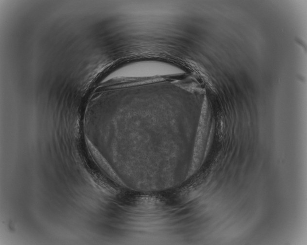 X0000091000596200708241451