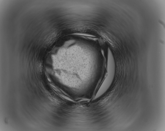 X0000091000597200708241451