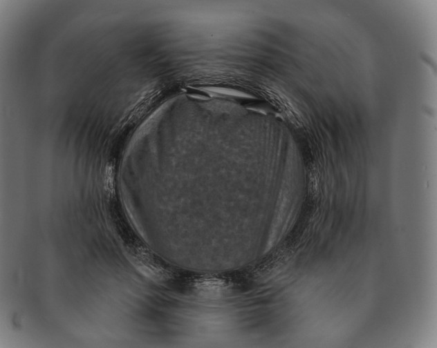 X0000091000598200708241451