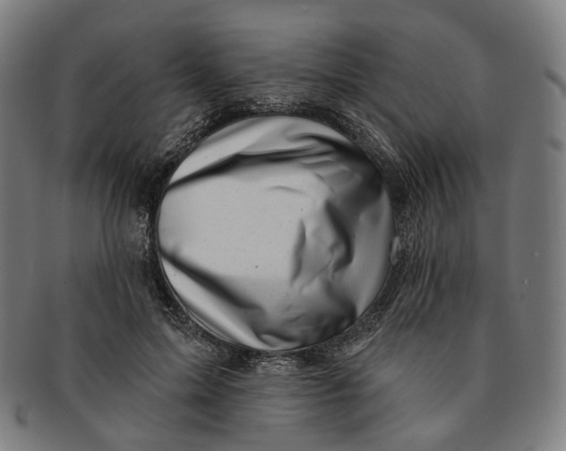 X0000091000599200708241451