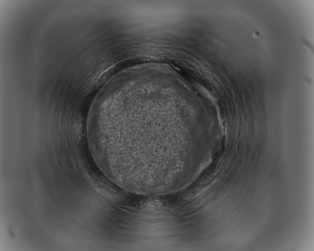 X0000091000600200708241451