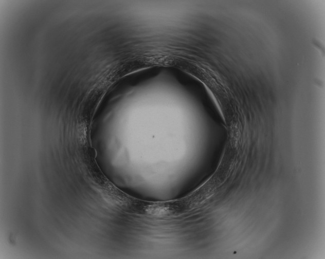 X0000091000602200708241451