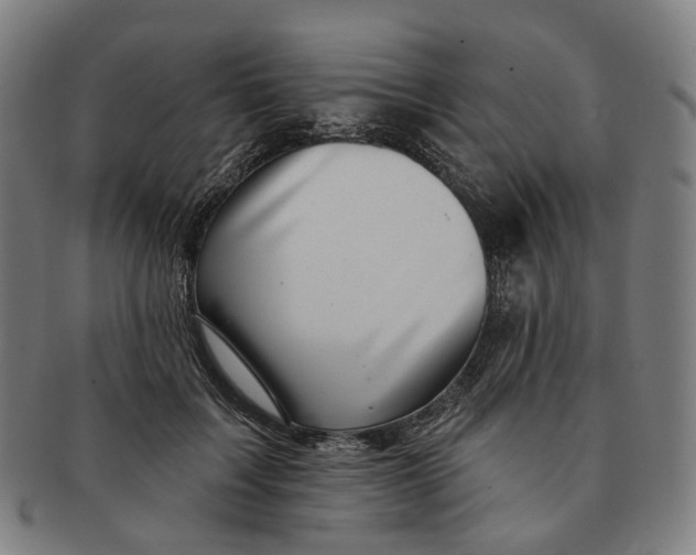 X0000091000603200708241451