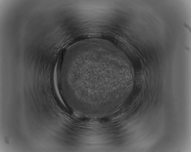 X0000091000604200708241451
