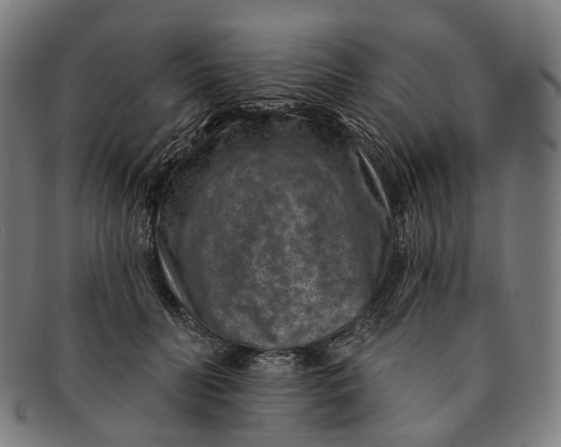 X0000091000606200708241451