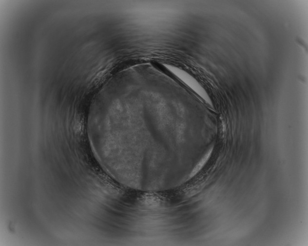 X0000091000608200708241451