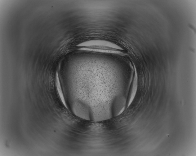 X0000091000609200708241451