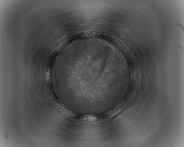 X0000091000610200708241451