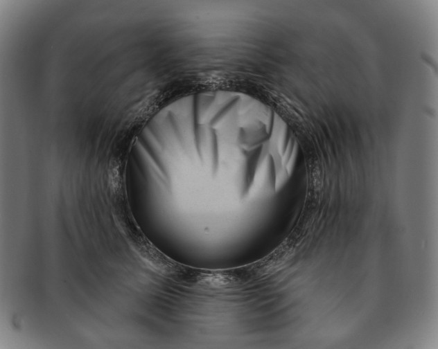 X0000091000611200708241451