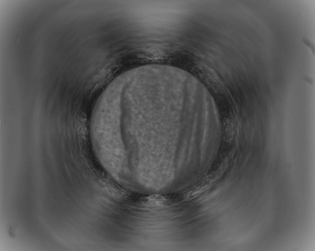 X0000091000612200708241451