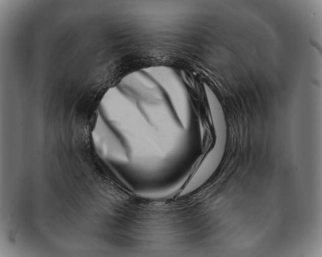 X0000091000613200708241451