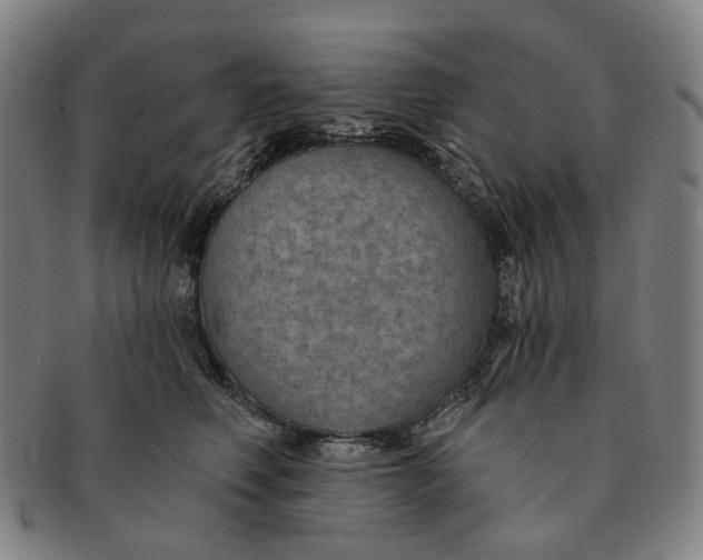 X0000091000614200708241451