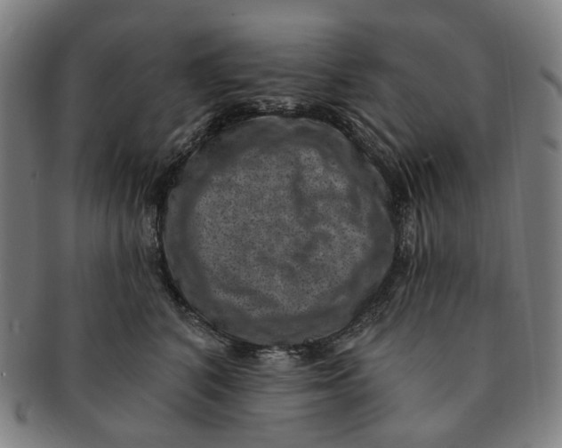 X0000091000616200708241451