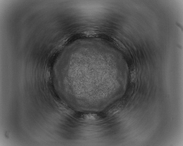 X0000091000618200708241451