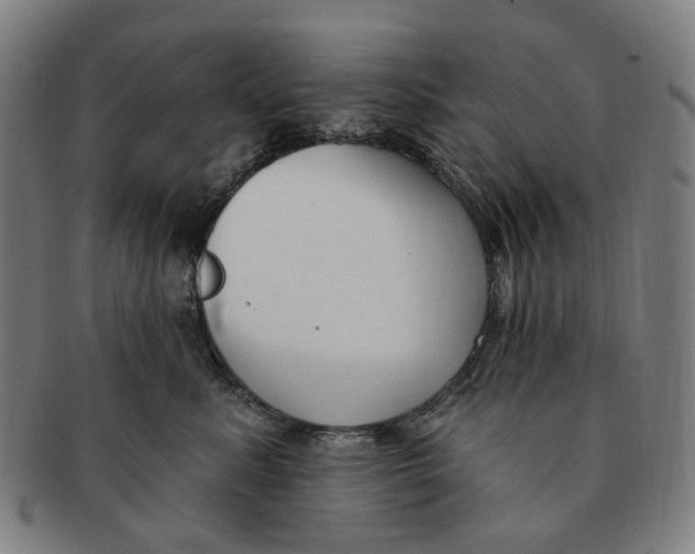 X0000091000619200708241451