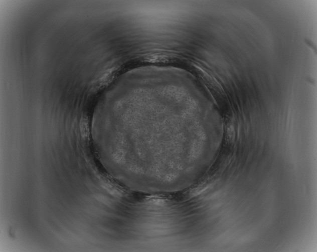 X0000091000620200708241451