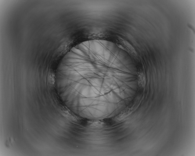 X0000091000621200708241451