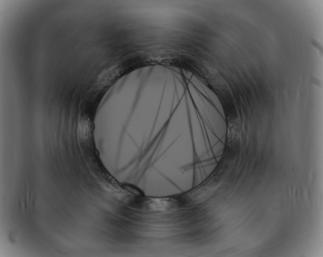 X0000091000623200708241451