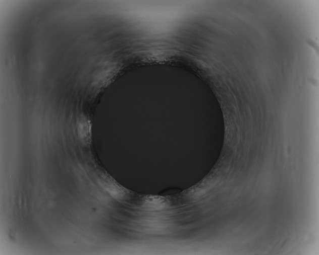 X0000091000624200708241451