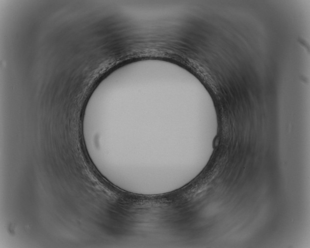 X0000091000625200708241450