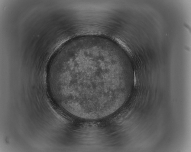 X0000091000627200708241450