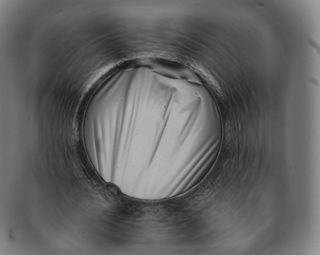 X0000091000628200708241450