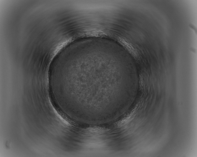 X0000091000630200708241450