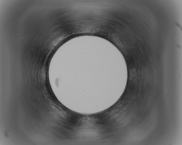 X0000091000632200708241450