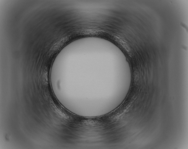 X0000091000633200708241450