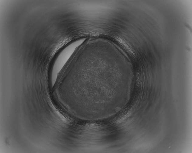 X0000091000634200708241450