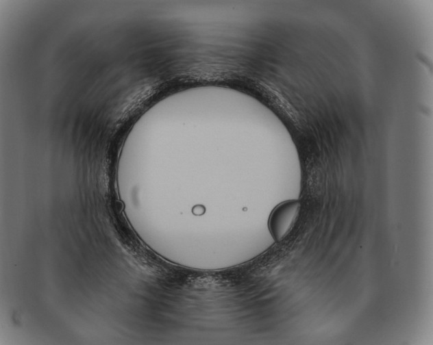 X0000091000635200708241451