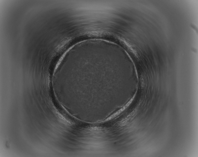 X0000091000637200708241451
