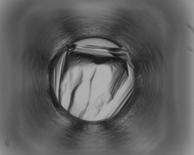 X0000091000638200708241451
