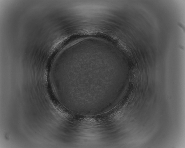 X0000091000640200708241451