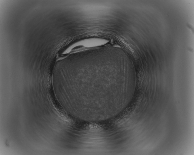 X0000091000641200708241451