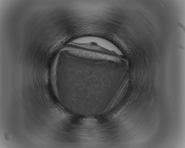 X0000091000644200708241451