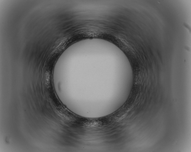 X0000091000646200708241451