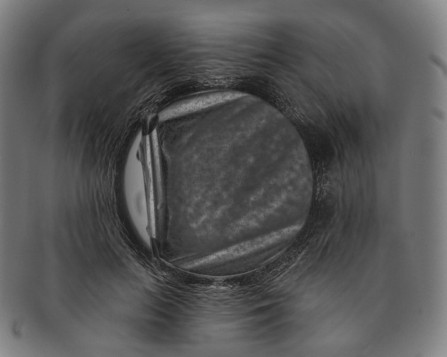 X0000091000647200708241451