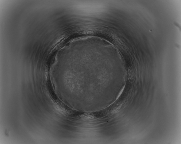 X0000091000648200708241451