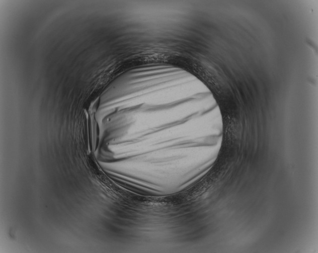 X0000091000649200708241451