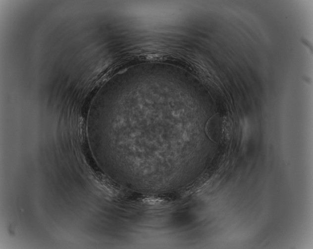 X0000091000650200708241451