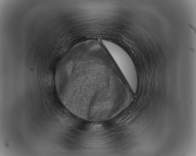 X0000091000651200708241451