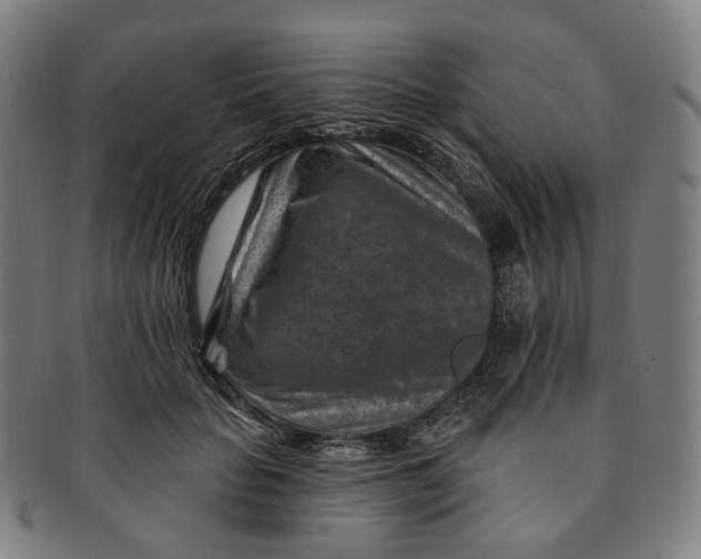 X0000091000653200708241451