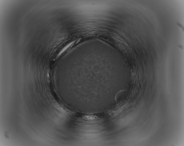 X0000091000654200708241451