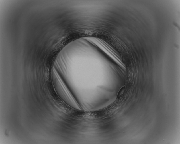 X0000091000656200708241451