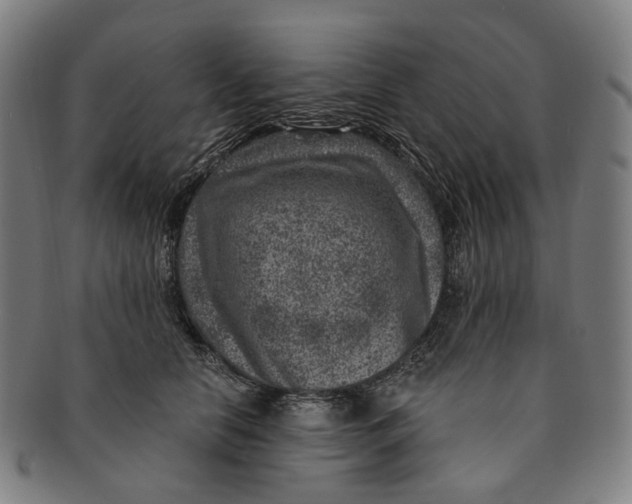 X0000091000658200708241451
