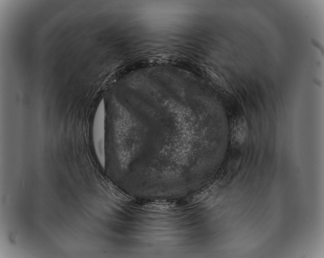 X0000091000661200708241451