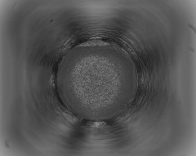 X0000091000663200708241451